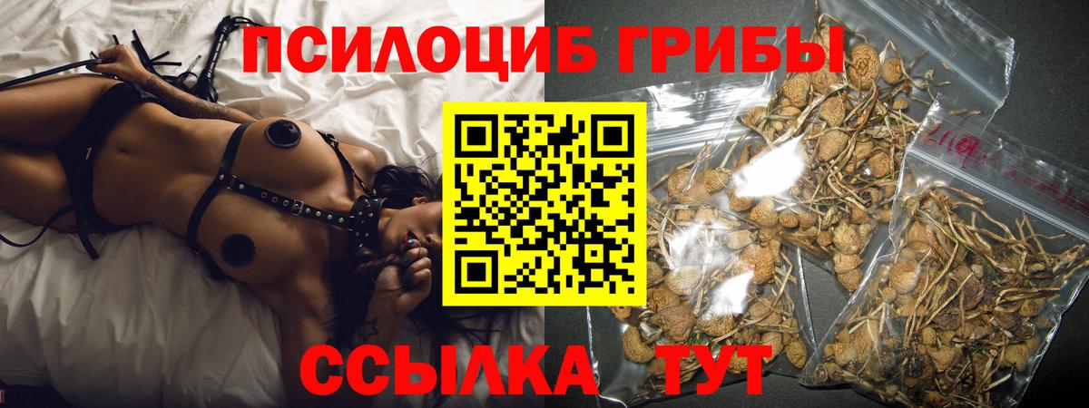 Галлюциногенные грибы Magic Shrooms Волжский